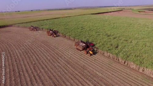 Sugar cane hasvest plantation with three machines view aerial