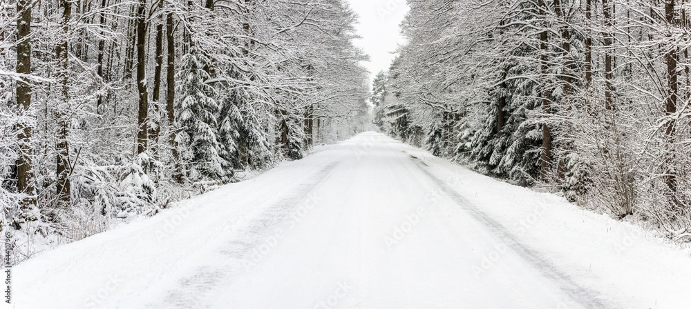 Winter road, snow-coverd trees and roads, Podlasie Poland Winter road, snow-coverd trees and roads, Podlasie Poland