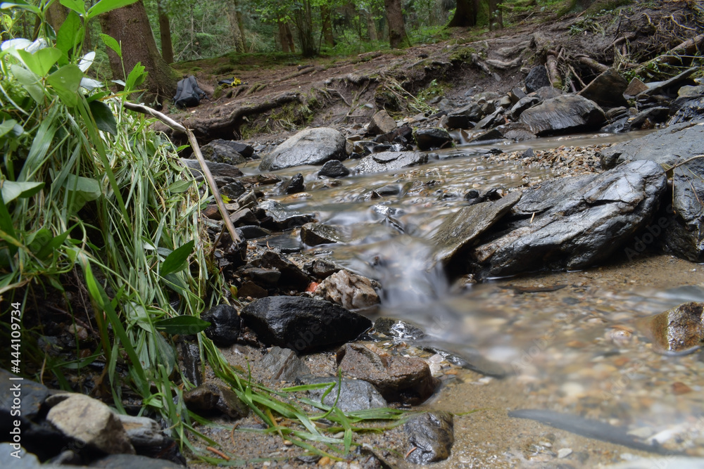 Stream in the forest, water landscape Stream in the forest, water landscape