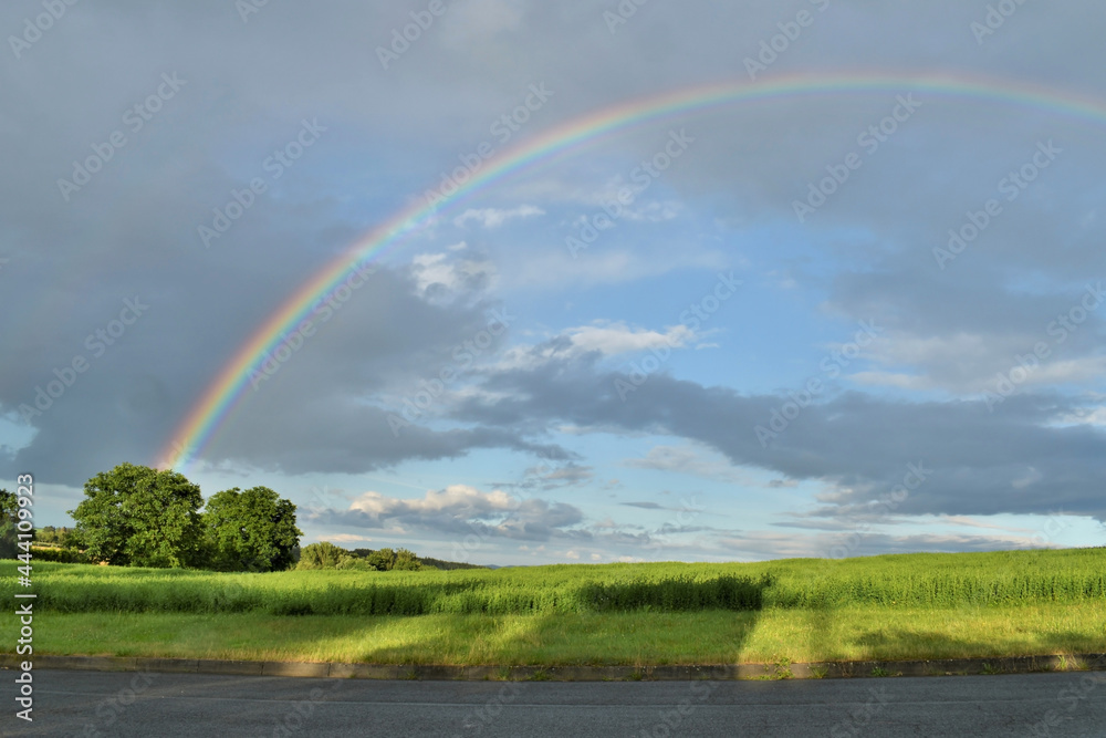 Rainbow over the field, natural light effect Rainbow over the field, natural light effect