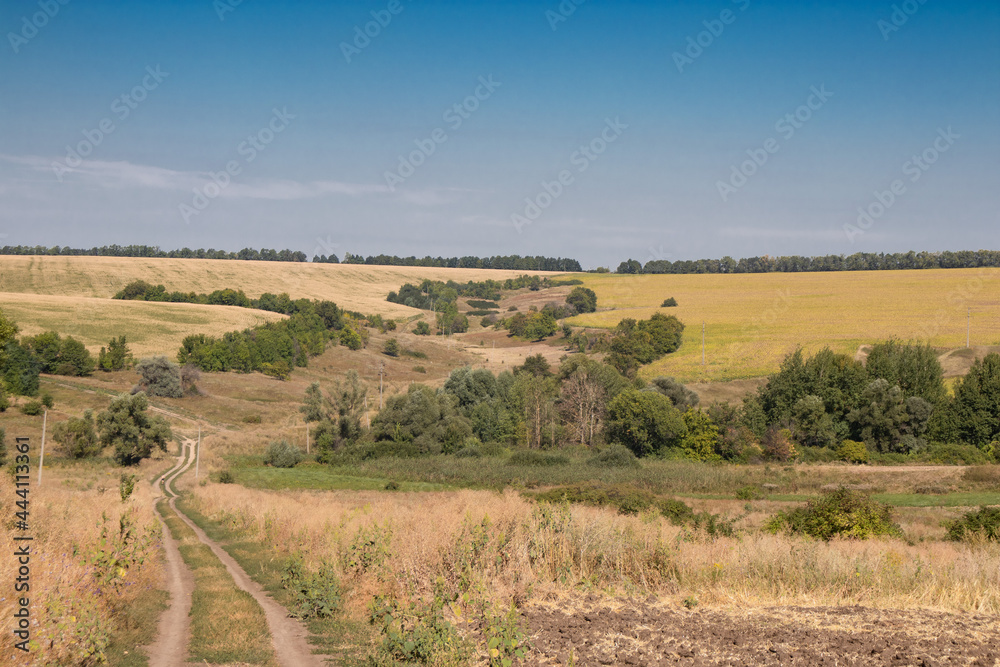 road leading into a ravine against a background of blue sky, countryside