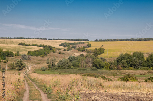 road leading into a ravine against a background of blue sky  countryside