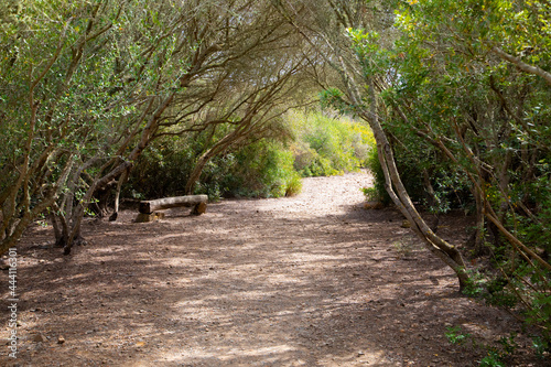 Parc natural de s’Albufera des Grau, Menorca , Spanien