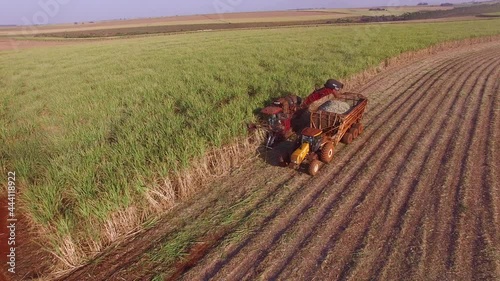 Sugar cane hasvest plantation with three machines view aerial photo