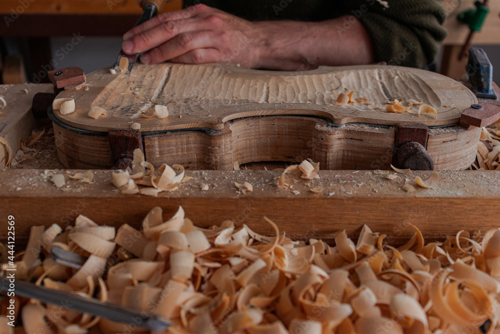 Luthier's hands using gouge to work the wood and make a violin Stock ...