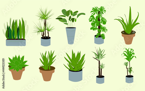 vector houseplant collection eps 10 pots 