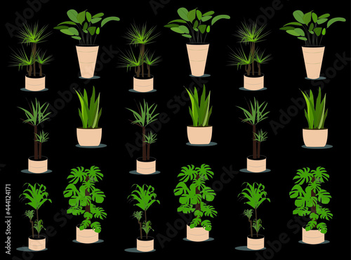vector houseplant background pots eps 10