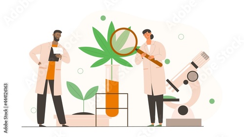 Male and female scientists in uniform are analyzing cbd hemp oil extract from marijuana plant