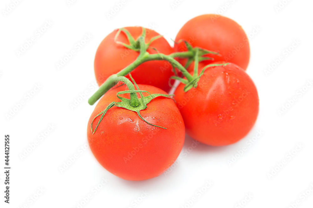 Fresh ripe organic tomatoes on a branch in water drops isolated on a white background. Fresh ripe organic tomatoes on a branch in water drops isolated on a white background.