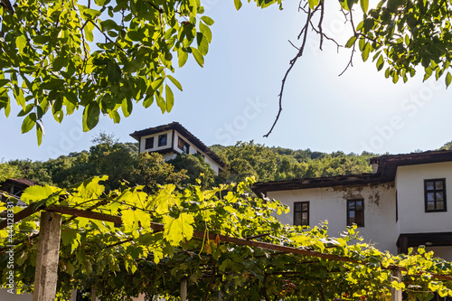 Medieval Cherepish Monastery of The Assumption, Bulgaria photo