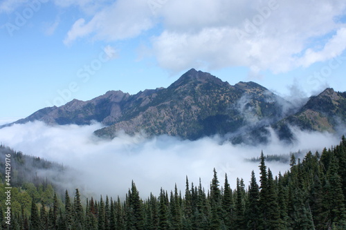 Photography fog in the cascade mountain  range, as seen from hurricane ridge  on a sunny su