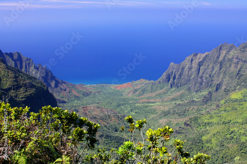 panoramic view of kalalau valley  and the pacific ocean from pu'u o kila overlook, kauai, hawaii photo