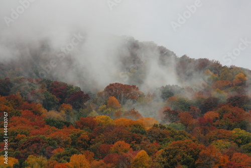 mist amongst pretty fall colors on a  cumberland mountain hillside  in autumn near chattanooga,  tennessee  photo