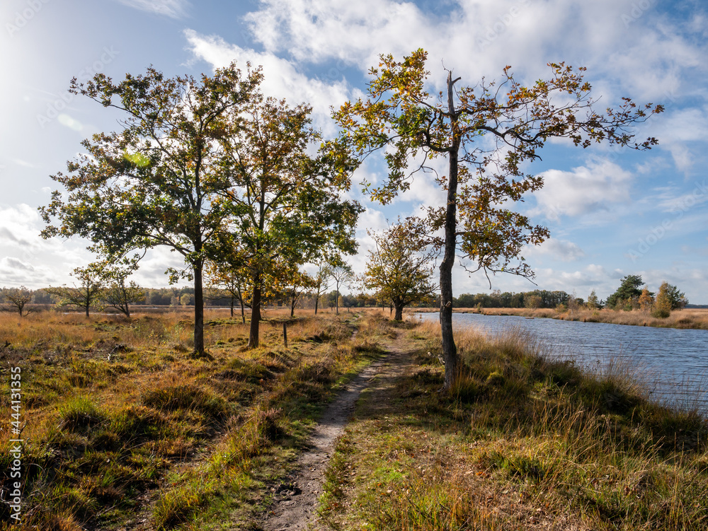 Footpath and water pool in peat bog national park Dwingelderveld, Drenthe, Netherlands Footpath and water pool in peat bog national park Dwingelderveld, Drenthe, Netherlands