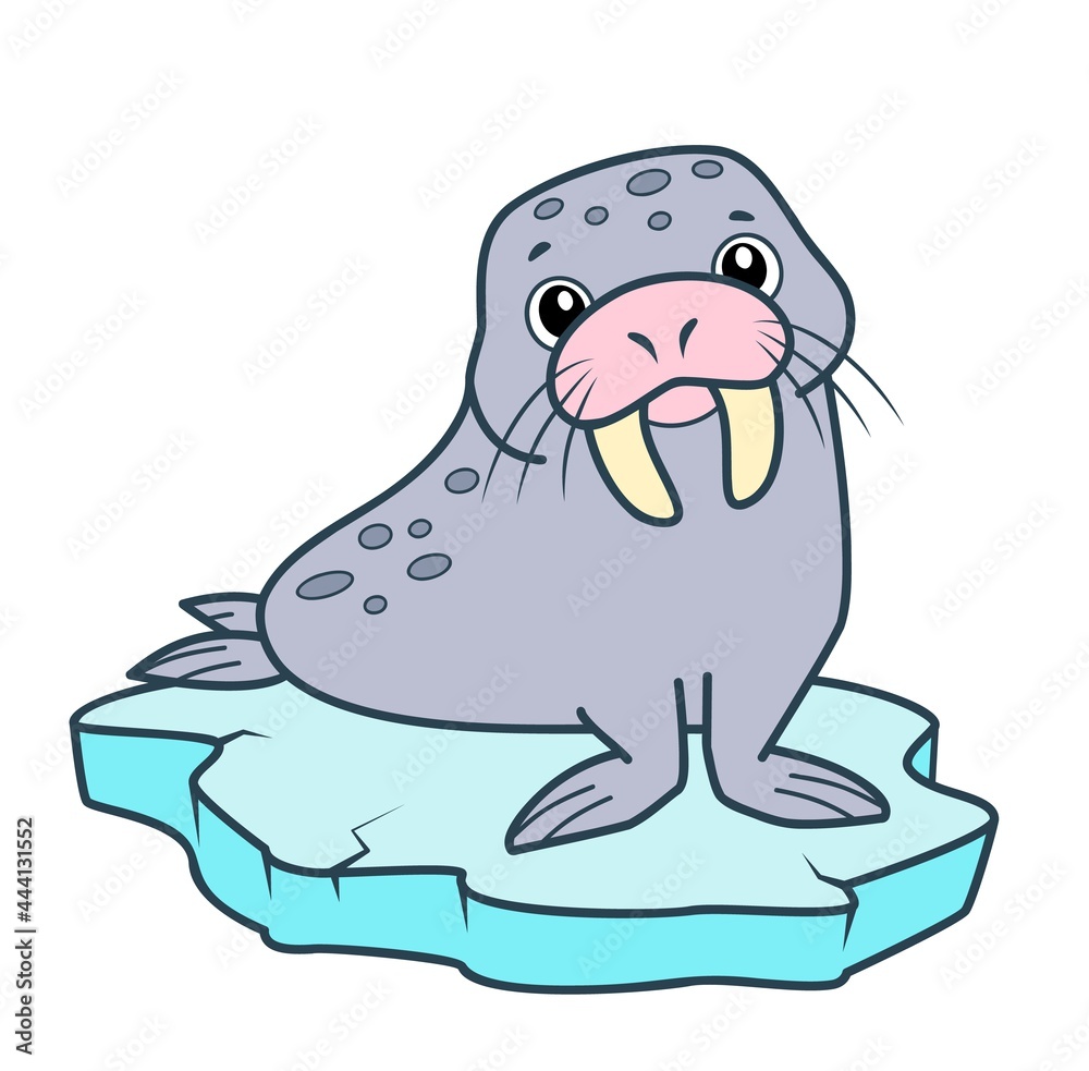 Fototapeta premium Cute walrus cartoon. Morse clipart vector illustration