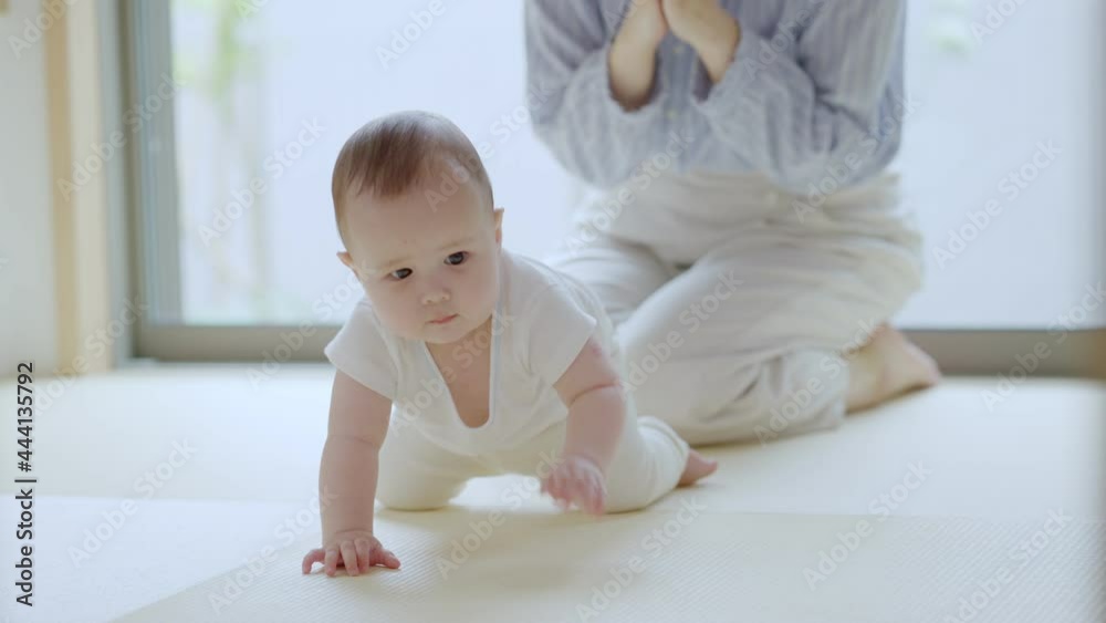 ハイハイ・家族・赤ちゃん・育児・子育て ハイハイ・家族・赤ちゃん・育児・子育て