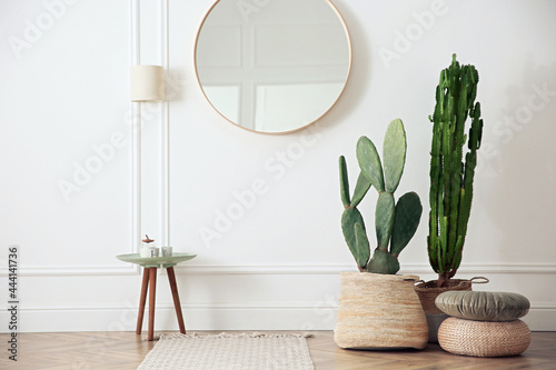 Stylish room interior with beautiful potted cacti
