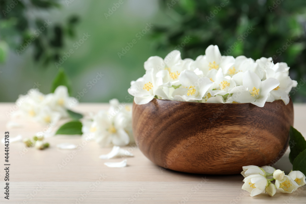 Bowl with beautiful jasmine flowers on white wooden table, closeup. Space for text Bowl with beautiful jasmine flowers on white wooden table, closeup. Space for text