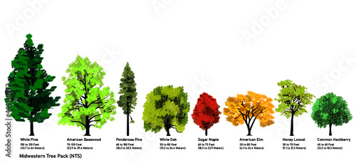 Midwestern Tree Pack