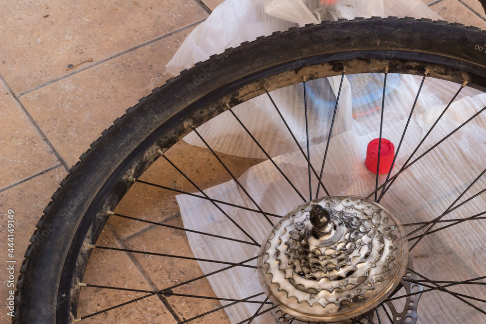 Unmounted bicycle wheel, removing grease foam on cog set.