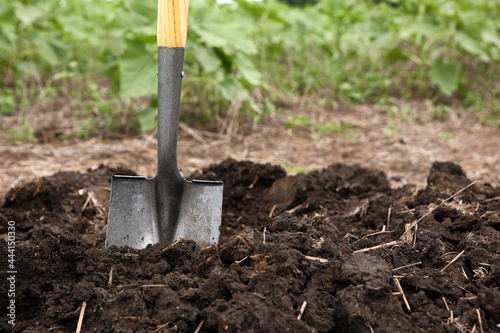 Shovel in soil outdoors, space for text