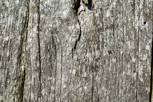 Old wooden board or boards. Faded with age. photo