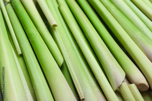 Fresh aromatic lemongrass as background  closeup view