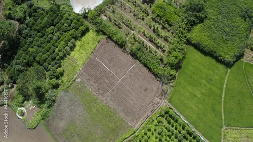 Aerial: remote agricultural farmland in Asian countryside photo