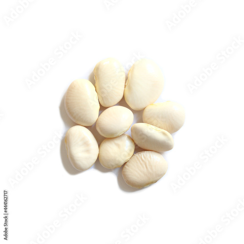 White fava bean seeds on white background