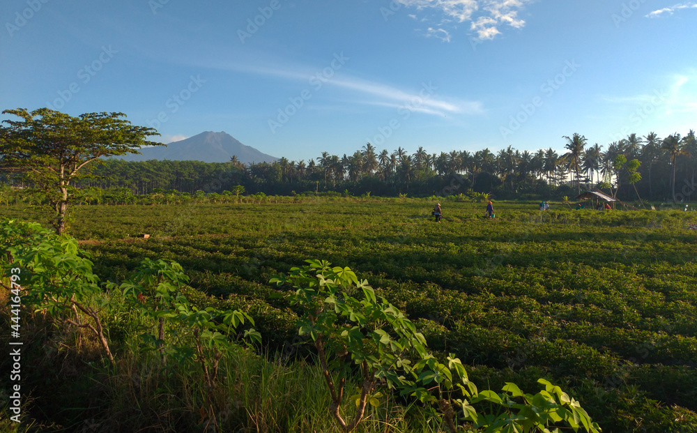 Amazing landscape around Banyuwangi East Java Indonesia.
