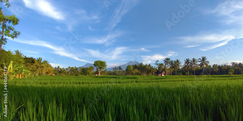 Amazing landscape around Banyuwangi East Java Indonesia.