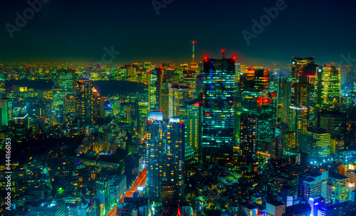東京夜景 スカイツリーと大都会