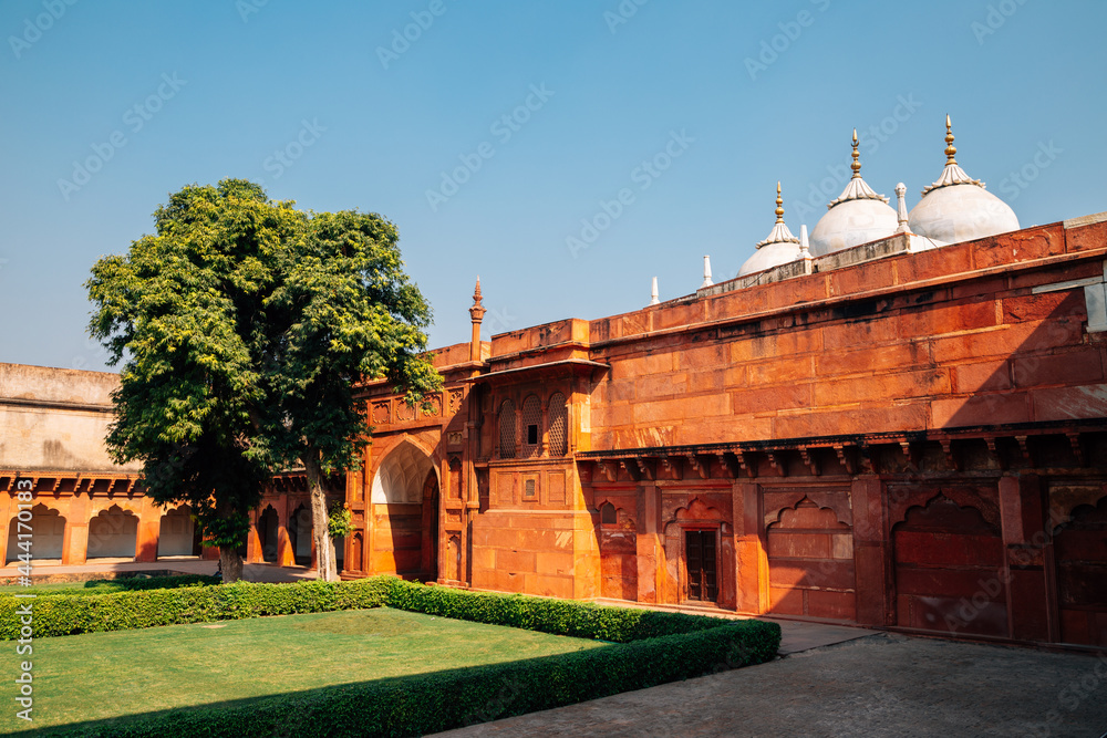 Fototapeta premium Agra Fort in Agra, India
