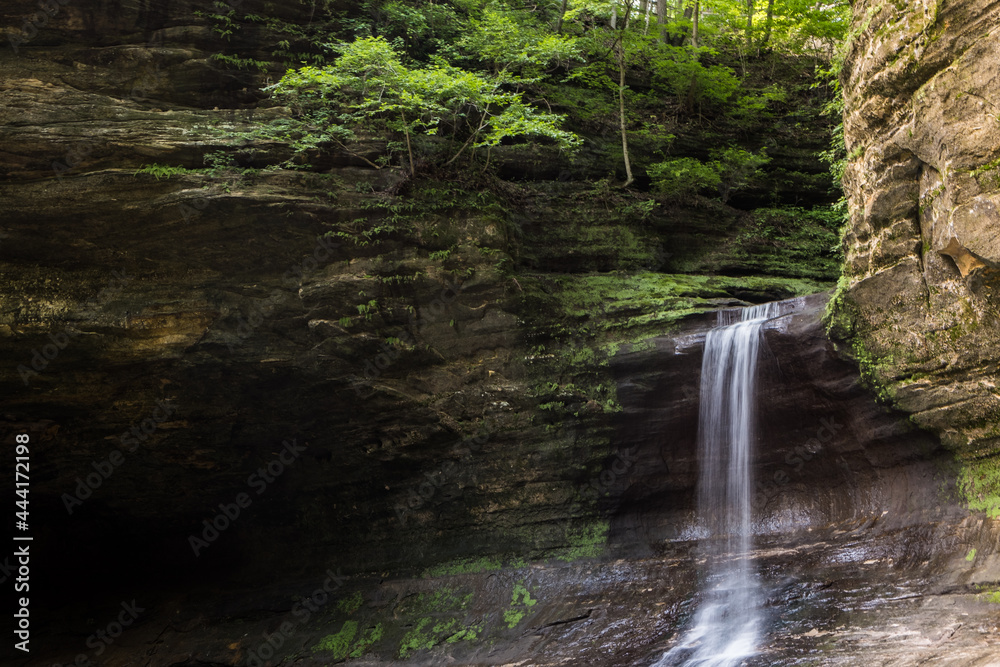 waterfall in the forest