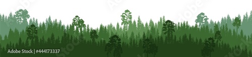 Pine forest. Silhouettes of coniferous trees. Wild landscape horizontally. Nice panoramic view. Beautifully illustration isolated on white background. vector