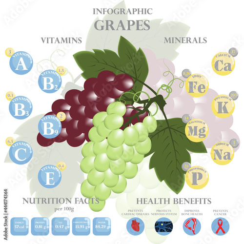 Health benefits and nutrition facts of grapes infographic vector illustration.
