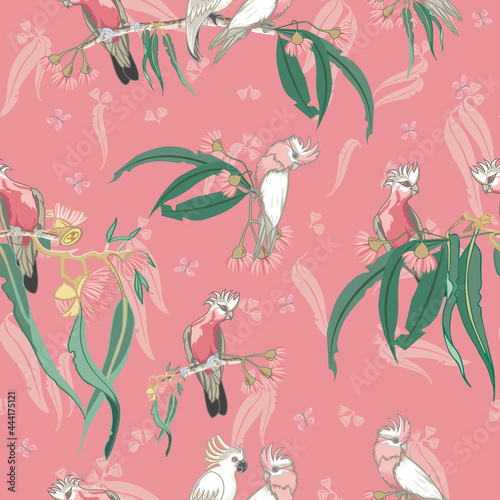 Australian native cockatoos and Galah birds seamless pattern. Vector illustration photo