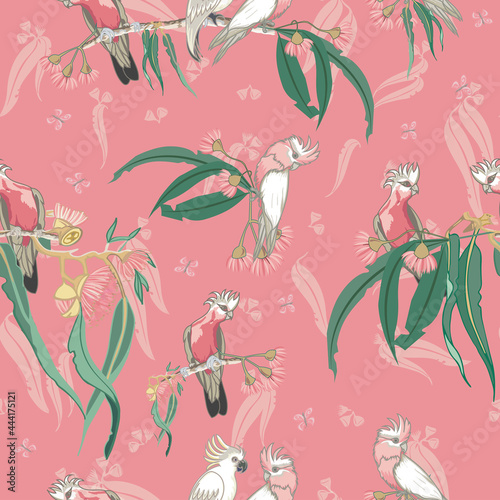 Australian native cockatoos and Galah birds seamless pattern. Vector illustration