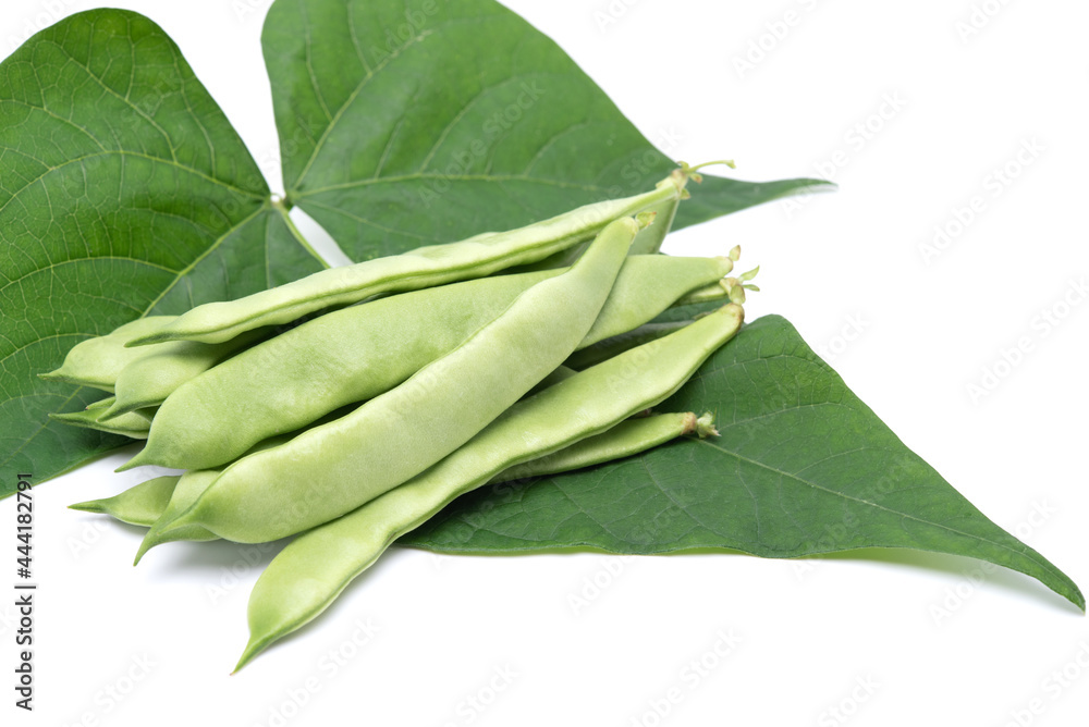 Morocco beans with leaves isolated on white background Morocco beans with leaves isolated on white background