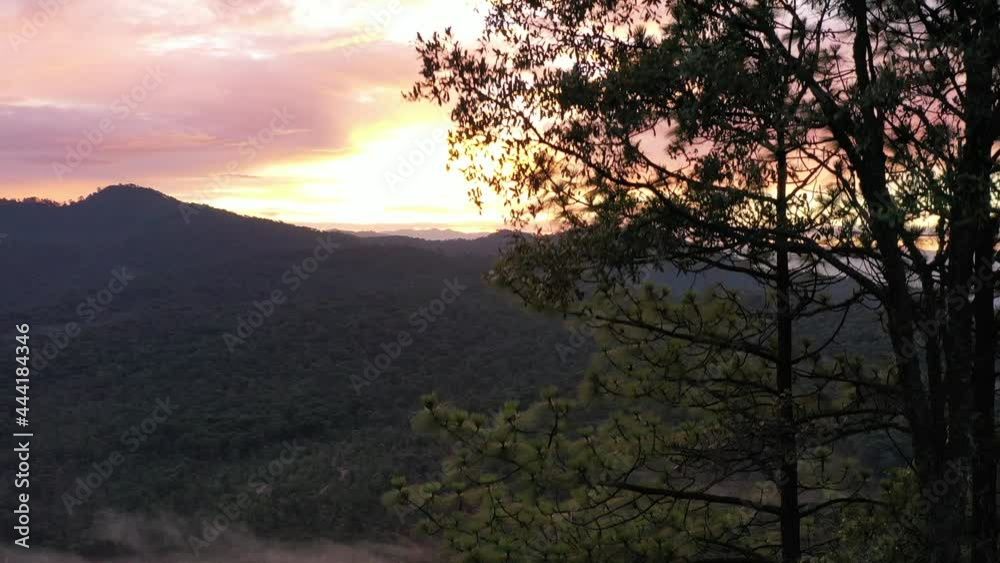 Rising up to a good sunrise in a good forest place. Rising up to a good sunrise in a good forest place.