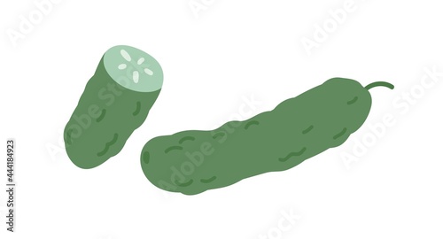 Fresh whole cucumber and its cut piece. Raw green vegetable. Healthy veggie food. Flat vector illustration isolated on white background