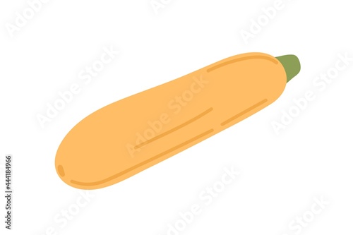 Yellow squash vegetable. Zucchini icon. Courgette plant. Summer zuchini veggie. Flat vector illustration of raw food isolated on white background