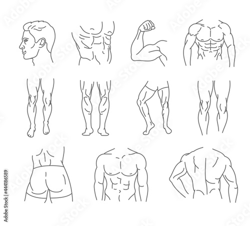 Male body icon set - thin line style, vector collection