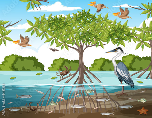 Mangrove forest scene at daytime with animals © blueringmedia