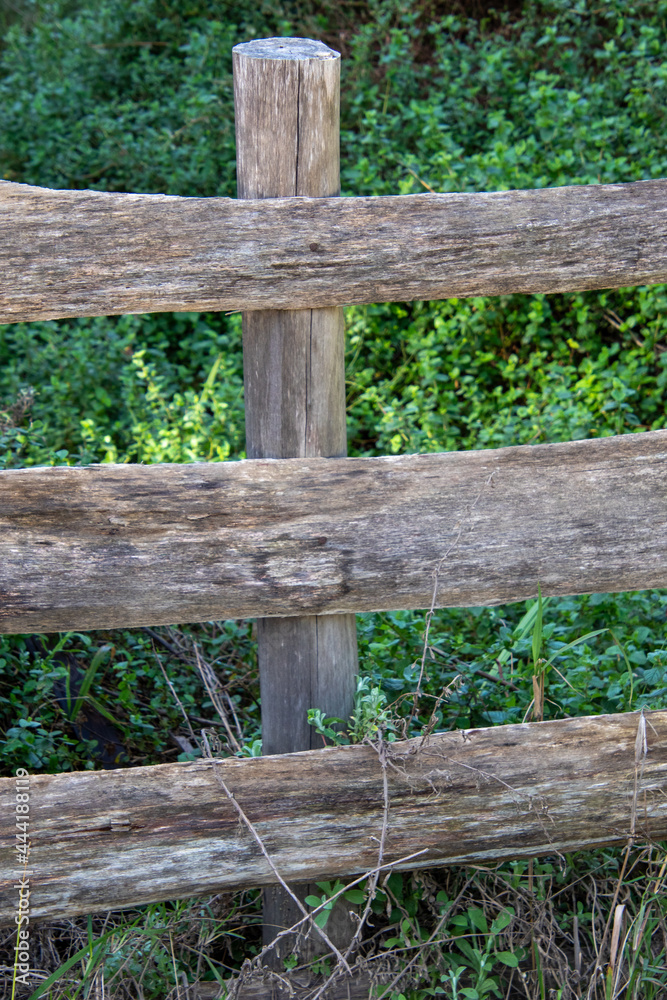 A rough wooden fence constructed in a forest setting A rough wooden fence constructed in a forest setting