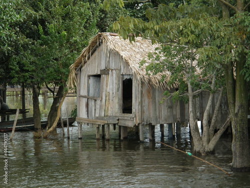 wooden stilted house with the family canoes, nestled in trees  on the amazon river near santarem in Brazil, South America  photo