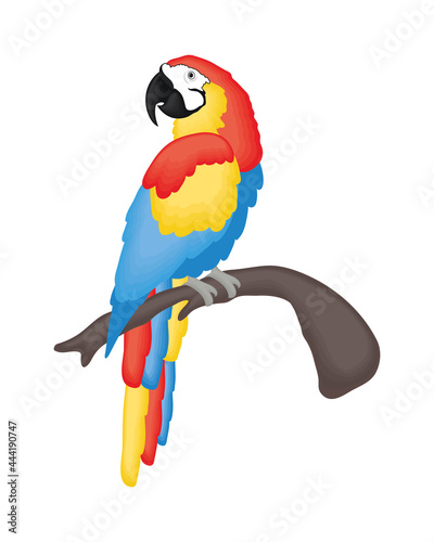 Cute macaw cartoon