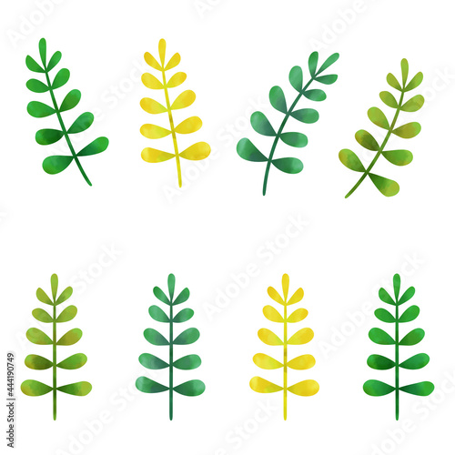 Watercolor style illustration of leaves (white background, vector, cut out)