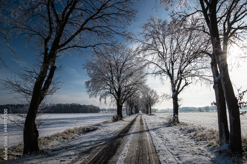 winter road © bj-schumacher.de