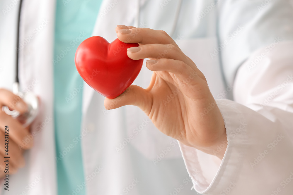 Female cardiologist with red heart, closeup Female cardiologist with red heart, closeup